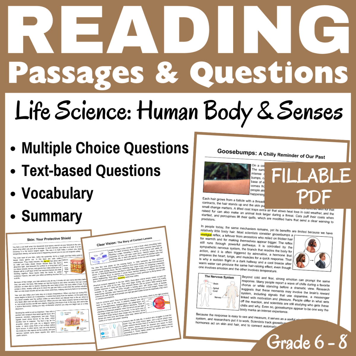 An educational teaching resource from CORED Education - Middle & High School entitled Life Science Reading Passages: Human Body & Senses (FILLABLE PDF) downloadable at Teach Simple.