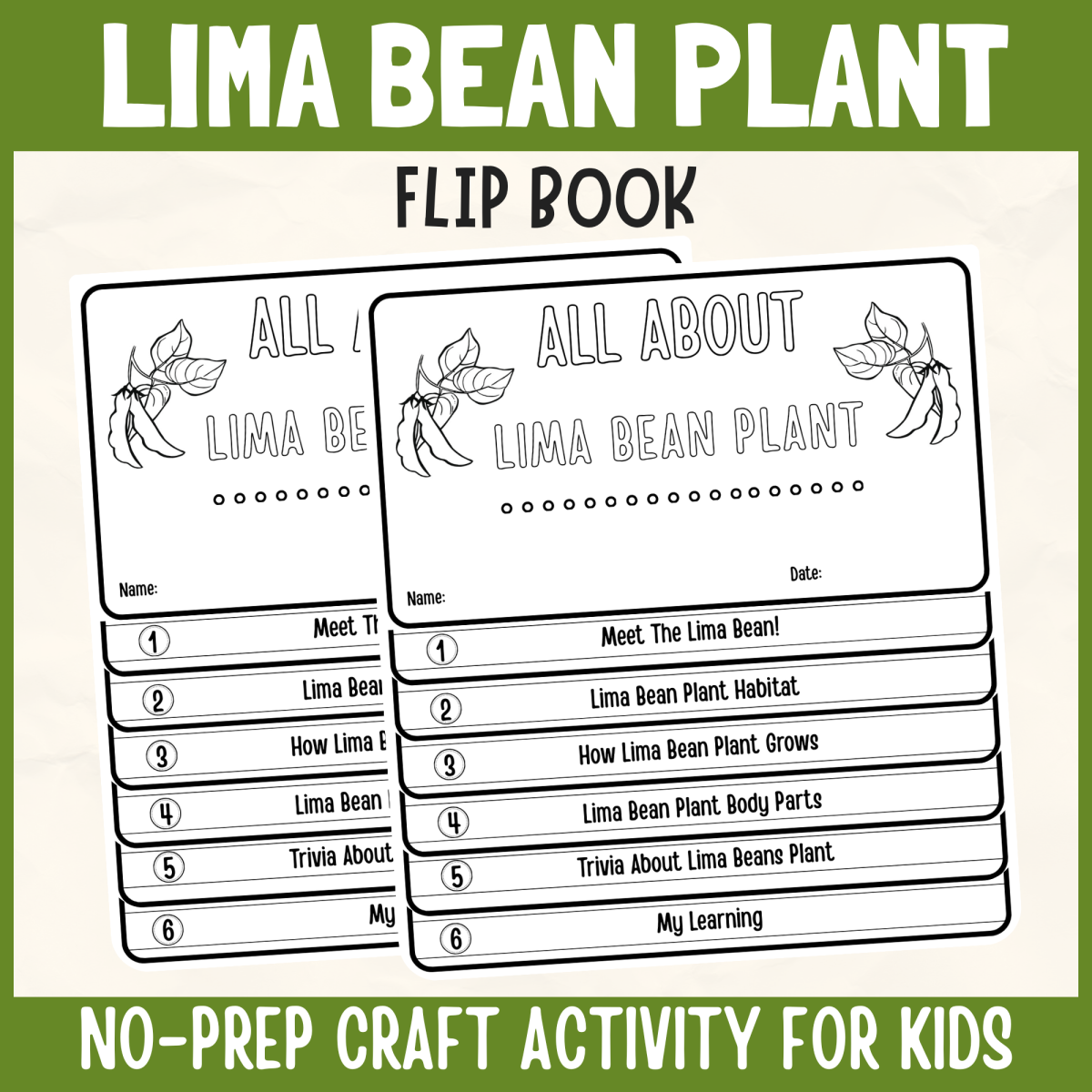 An educational teaching resource from Perfect_Printables entitled Lima Bean Flipbook Botany DIY Craft Plant Science Study Writing Prompt downloadable at Teach Simple.