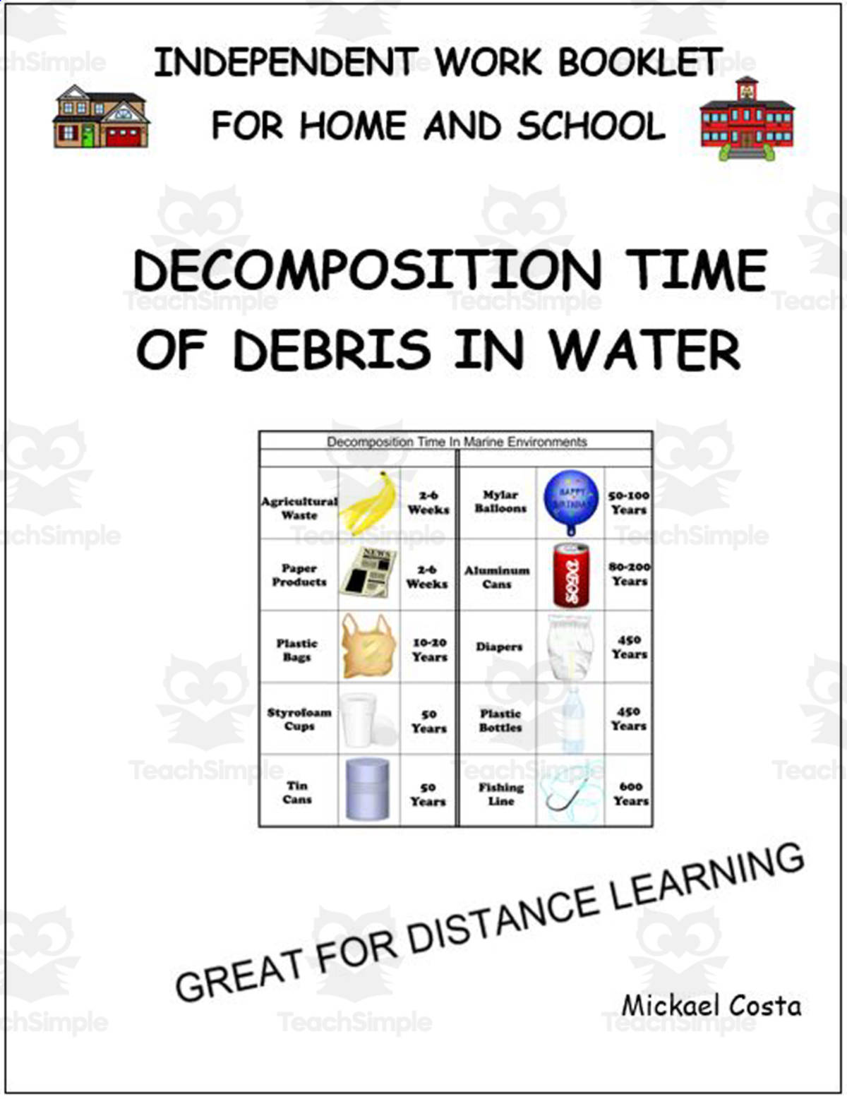 An educational teaching resource from Learn it ANY way entitled Literacy worksheets: Decomposition time of items in the ocean downloadable at Teach Simple.
