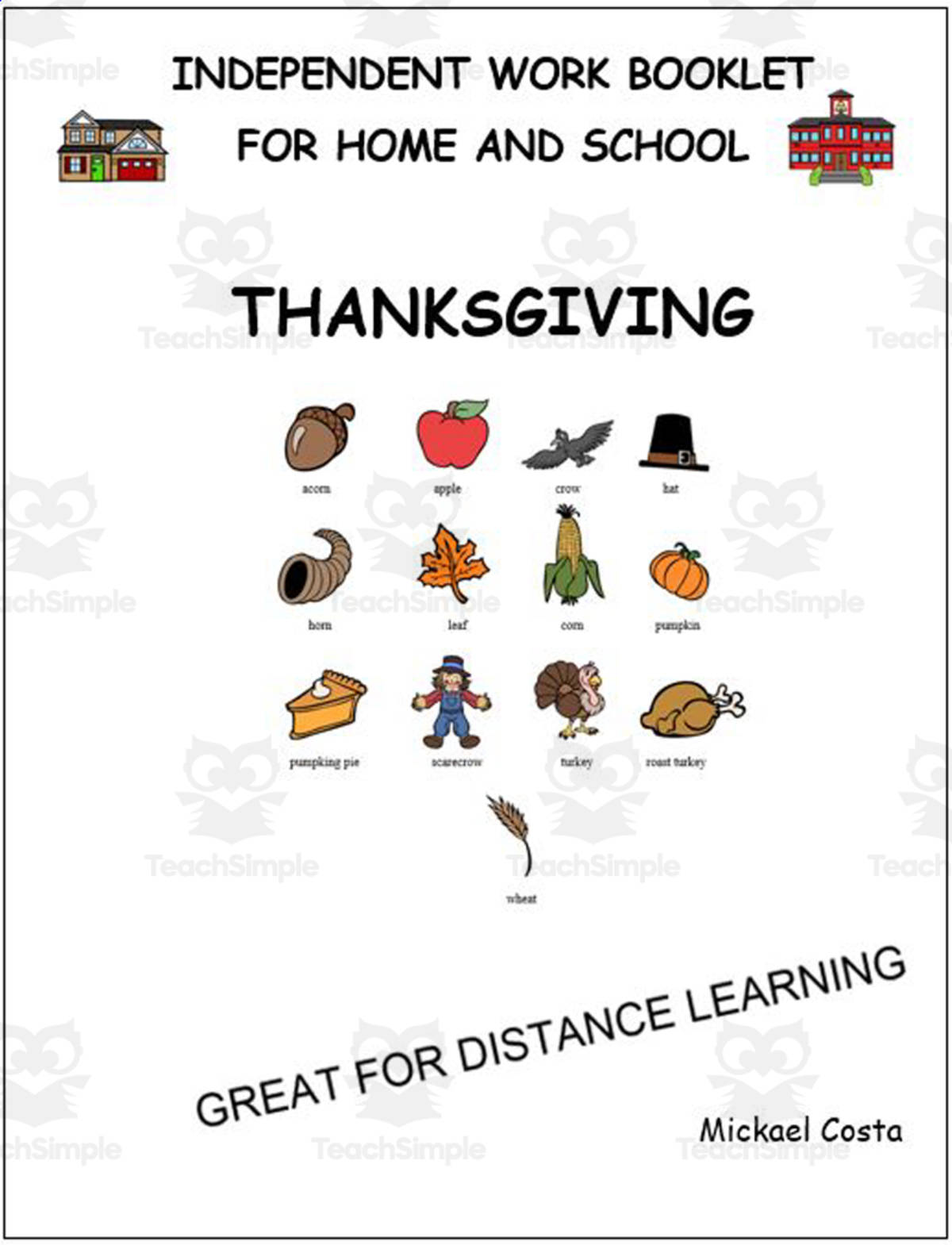 An educational teaching resource from Learn it ANY way entitled Literacy Worksheets: Thanksgiving downloadable at Teach Simple.