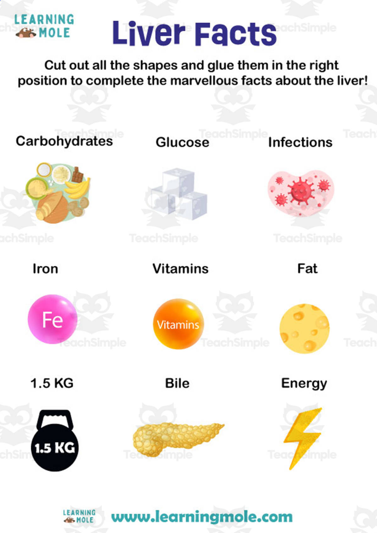 An educational teaching resource from Educational Voice entitled Liver Activity downloadable at Teach Simple.