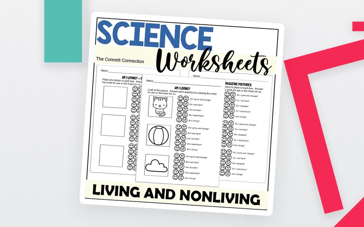 An educational teaching resource from The Connett Connection entitled Living and Non Living Things Worksheets downloadable at Teach Simple.