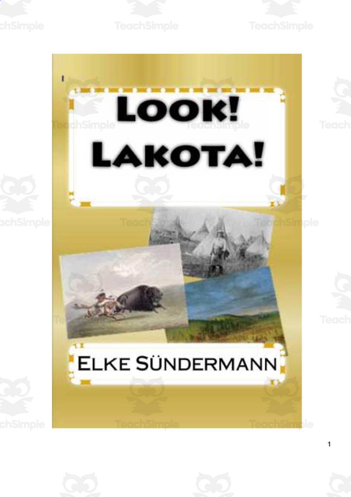 An educational teaching resource from Anyone Can Learn entitled Look! Lakota! | History eBook downloadable at Teach Simple.