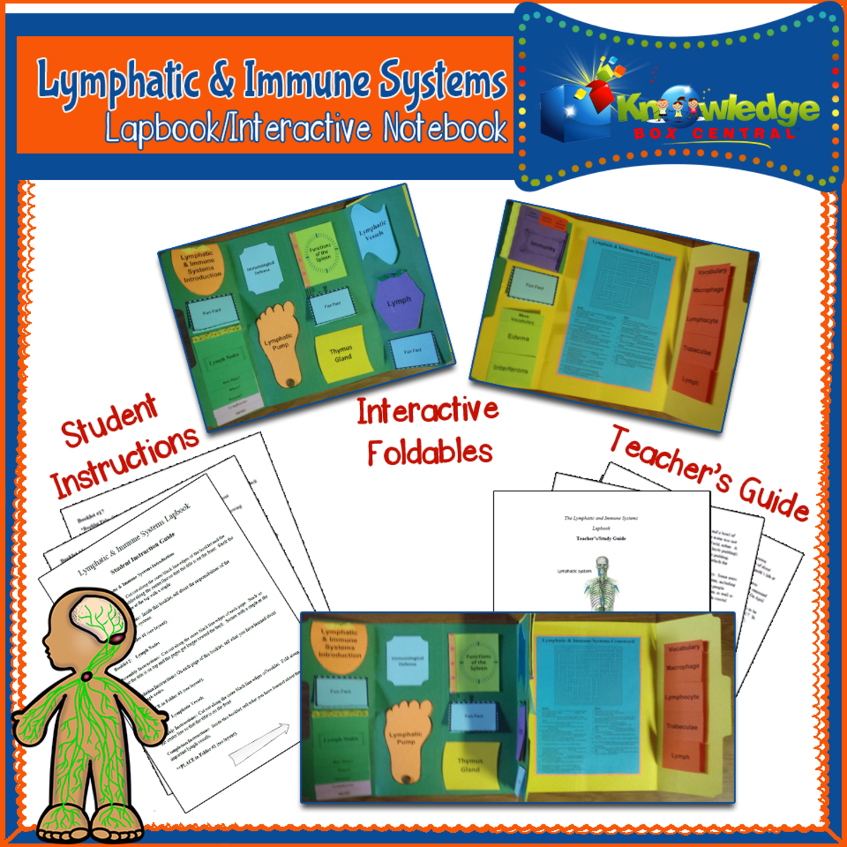 An educational teaching resource from Knowledge Box Central entitled Lymphatic & Immune Systems Lapbook / Interactive Notebook - EBOOK downloadable at Teach Simple.