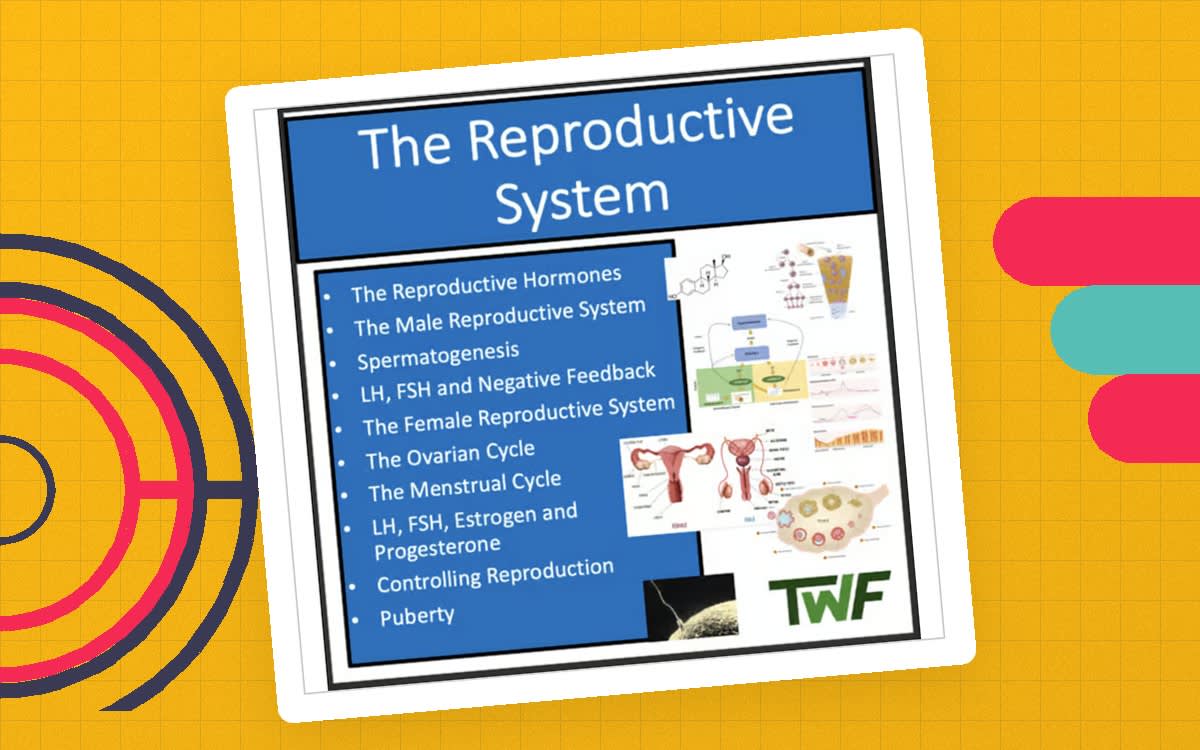 An educational teaching resource from Teach With Fergy entitled Male and Female Reproductive Systems - Senior Biology lesson downloadable at Teach Simple.