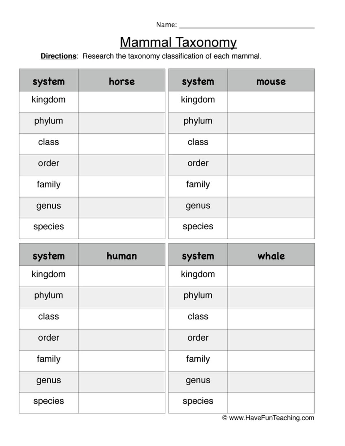 An educational teaching resource from Have Fun Teaching entitled Mammal Taxonomy Worksheet downloadable at Teach Simple.