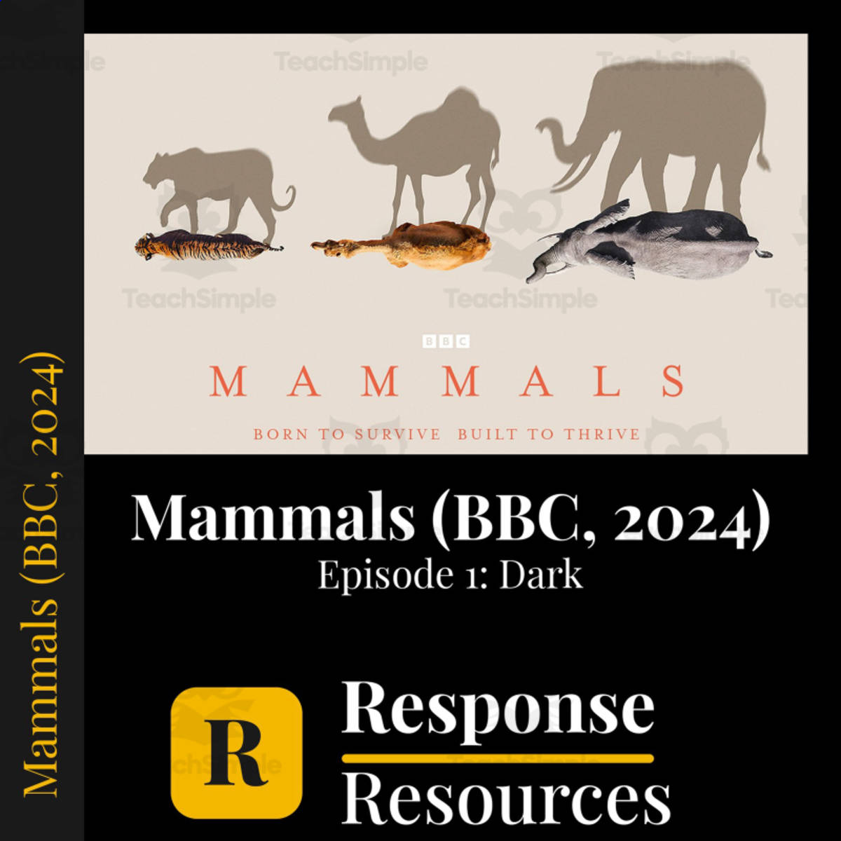 An educational teaching resource from Response Resources entitled Mammals (BBC, 2024) - Episode 1: Dark downloadable at Teach Simple.