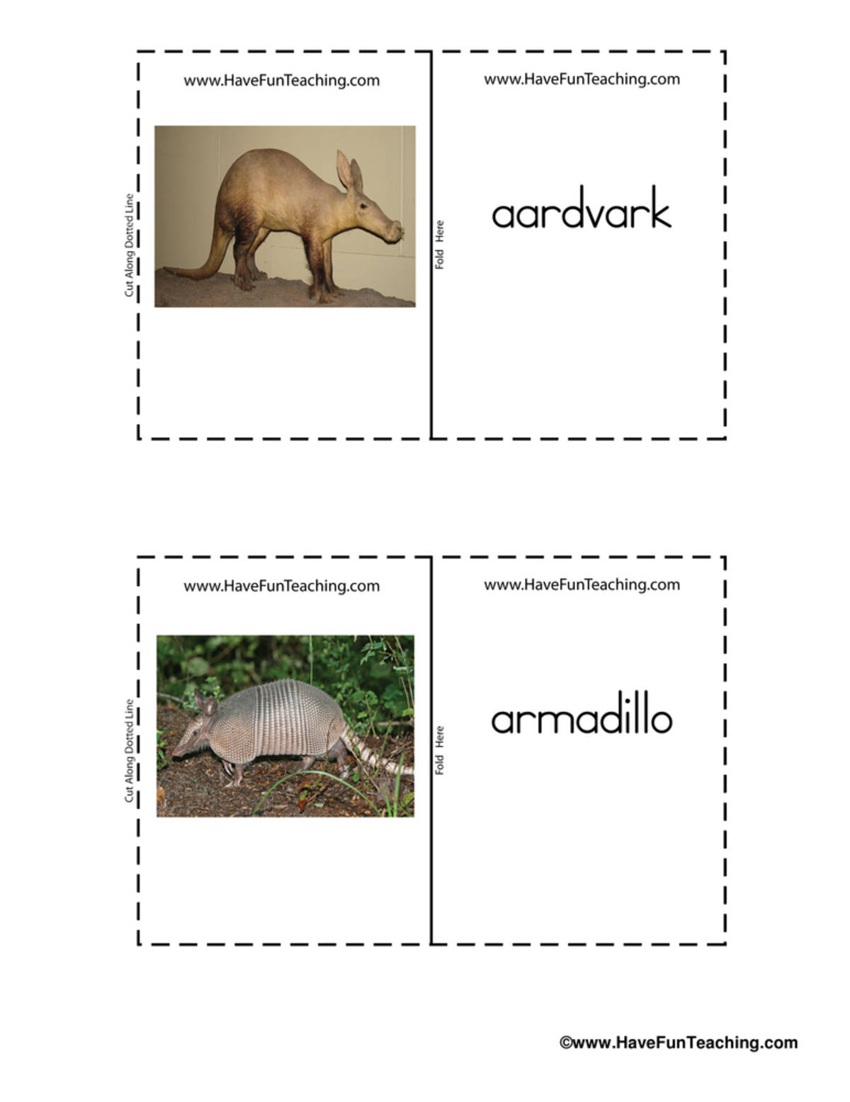 An educational teaching resource from Have Fun Teaching entitled Mammals Real Life Flash Cards downloadable at Teach Simple.