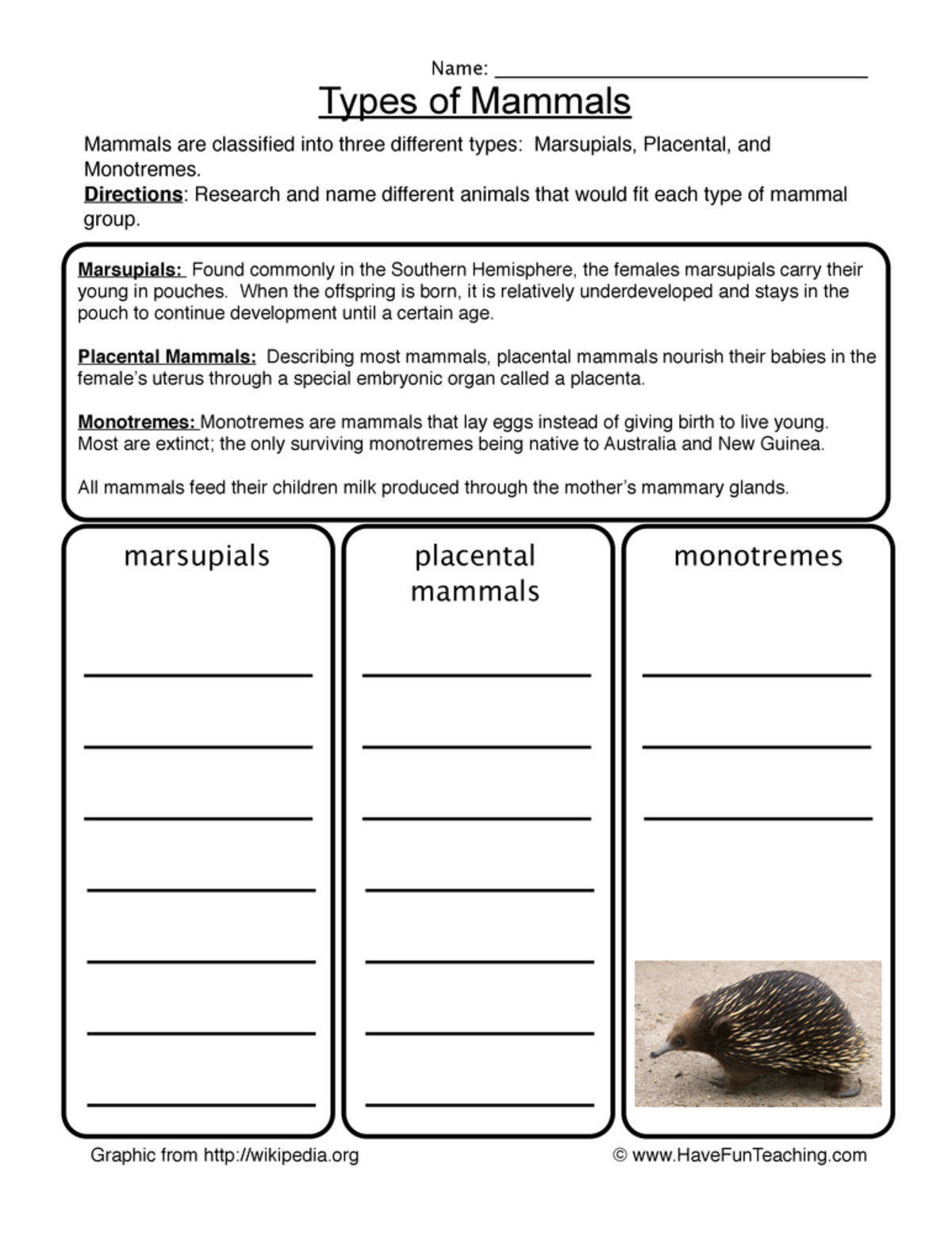 An educational teaching resource from Have Fun Teaching entitled Mammals Worksheet downloadable at Teach Simple.