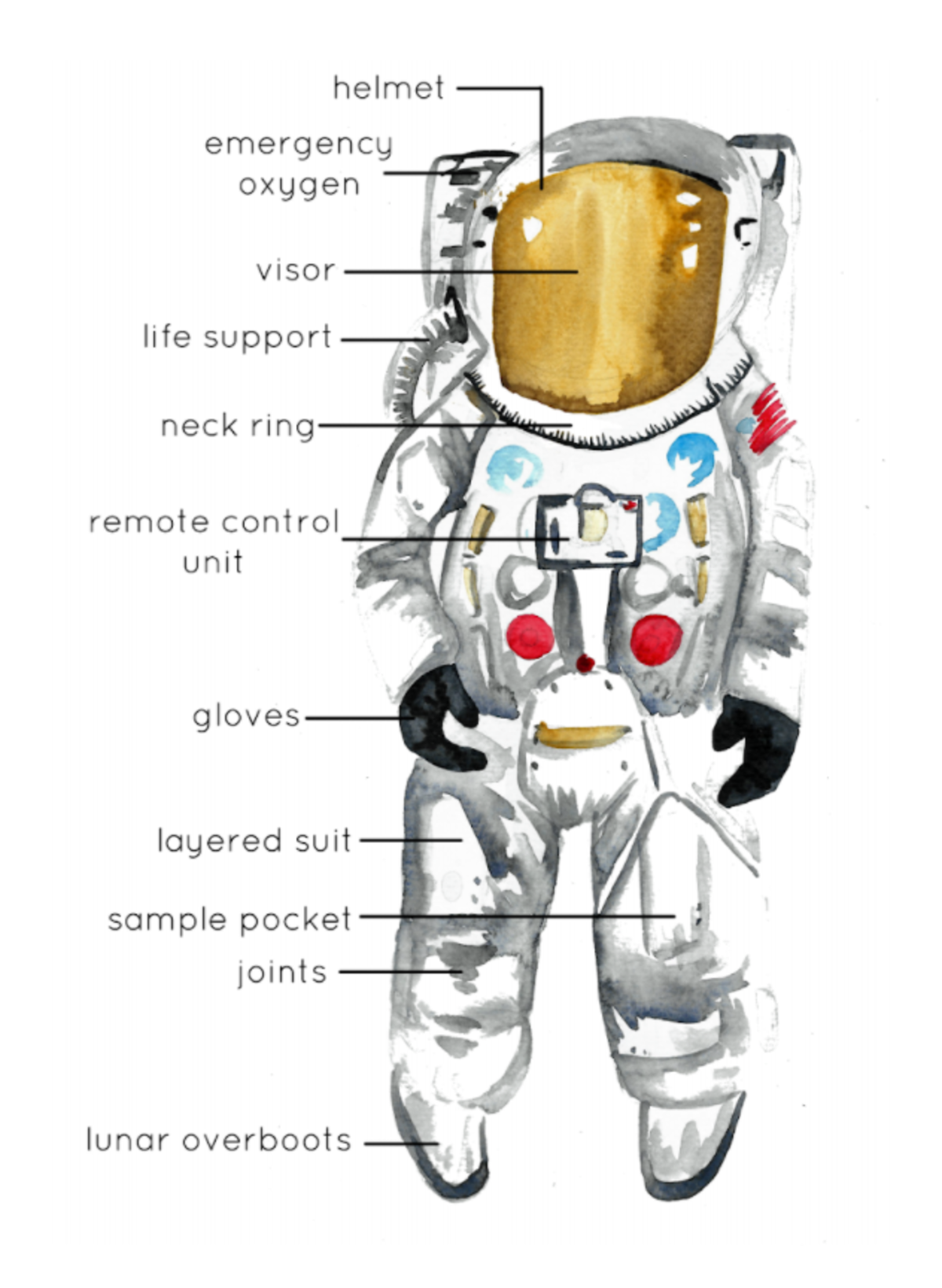 An educational teaching resource from Fiddleticks Education entitled Man on the Moon History Pack | Lunar Mission, Astronaut, Apollo 11, Neil Armstrong Posters | Homeschool Resources downloadable at Teach Simple.