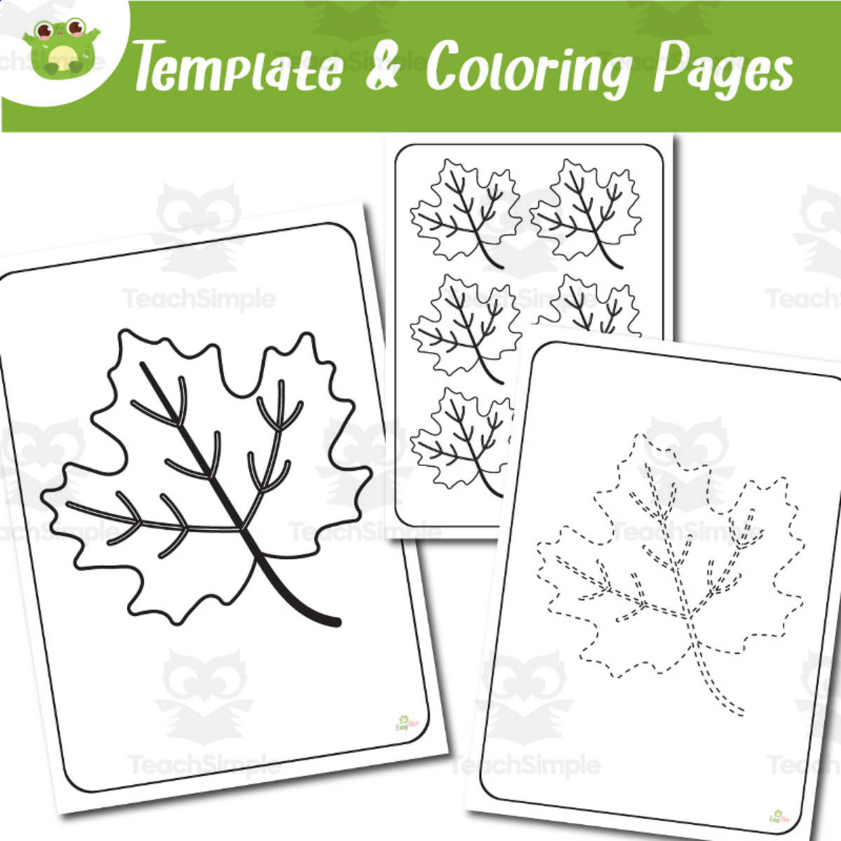 An educational teaching resource from EasyHop entitled Maple Leaf Coloring, Tracing & Template Pages Autumn Nature Printable downloadable at Teach Simple.