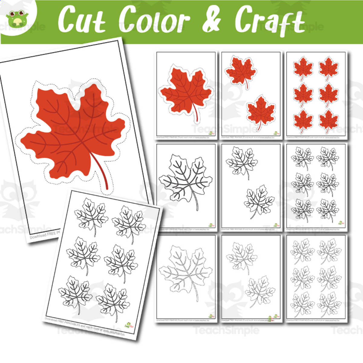 An educational teaching resource from EasyHop entitled Maple Leaf Set Activity for Preschoolers Coloring Tracing and Cutting downloadable at Teach Simple.
