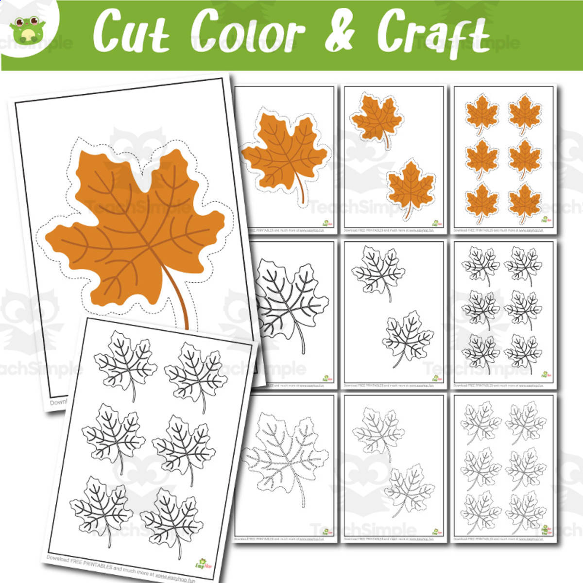 An educational teaching resource from EasyHop entitled Maple Leaf Template Activity Set | Cutting, Coloring & Tracing for Pre downloadable at Teach Simple.