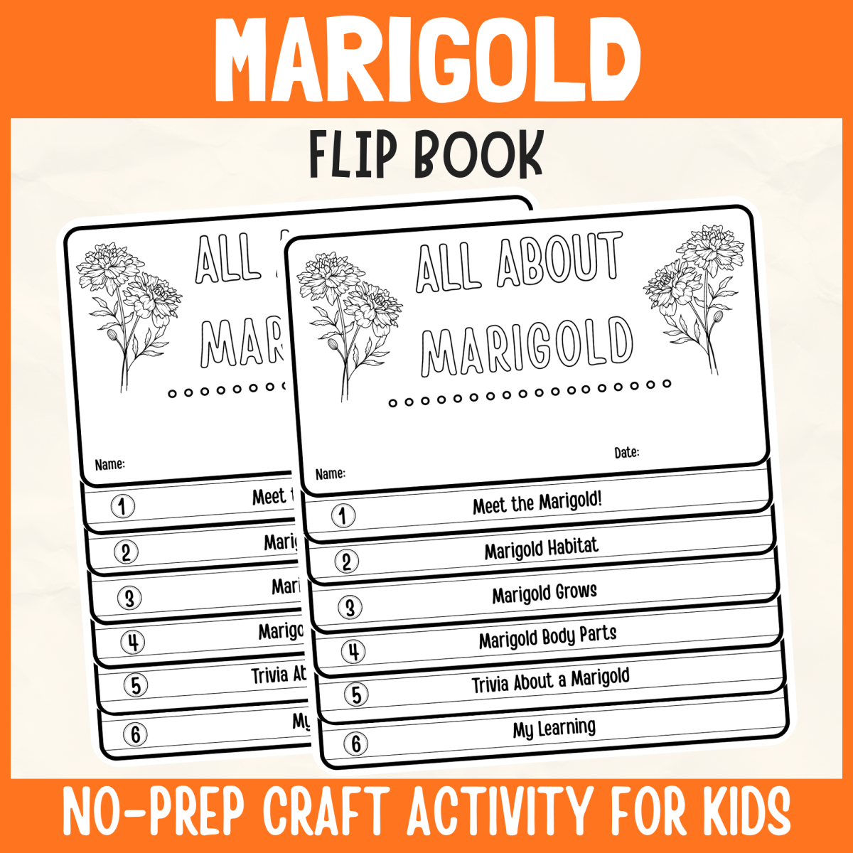 An educational teaching resource from Perfect_Printables entitled Marigold Plant Flipbook Craft DIY Botany Science Study Writing Prompt downloadable at Teach Simple.