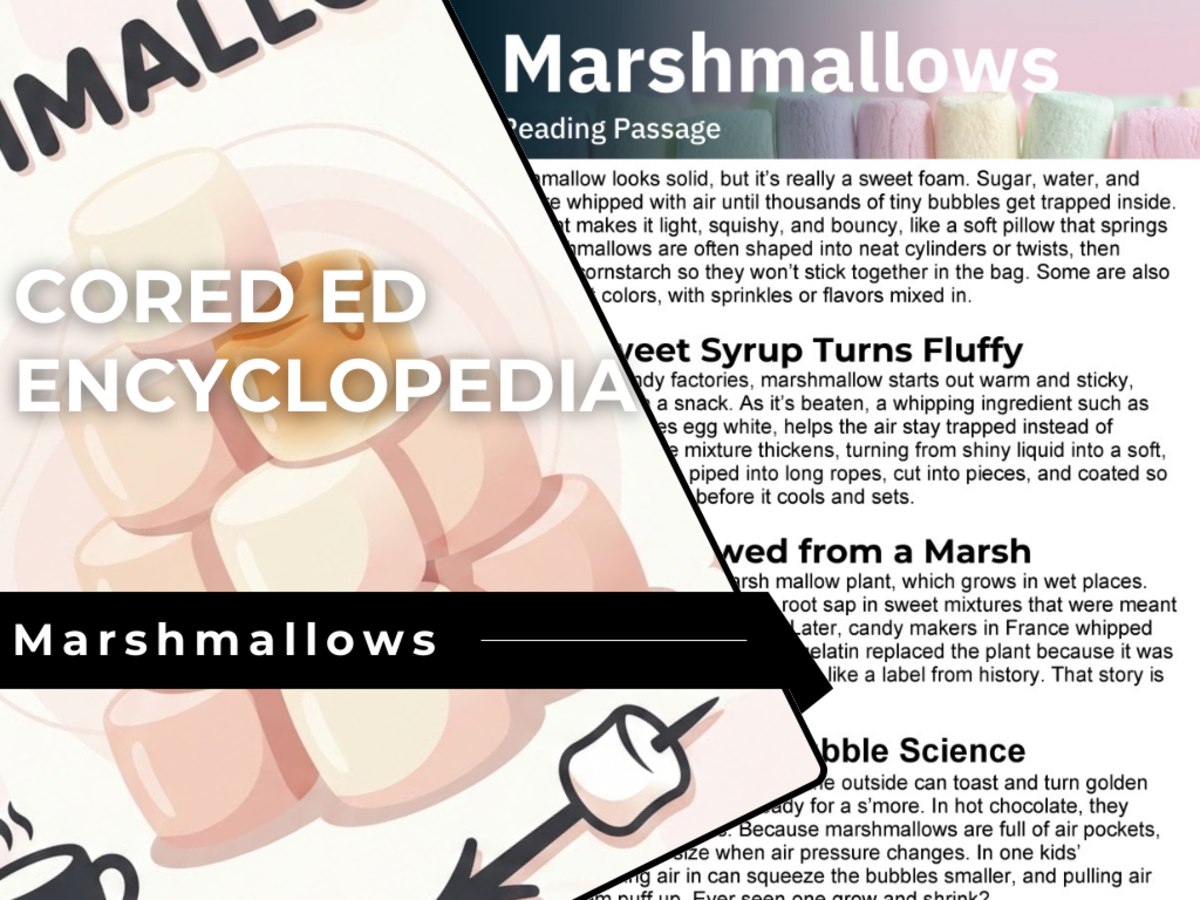 An educational teaching resource from Cored Education entitled Marshmallows Reading Comprehension Passage - Cored Ed Encyclopedia downloadable at Teach Simple.