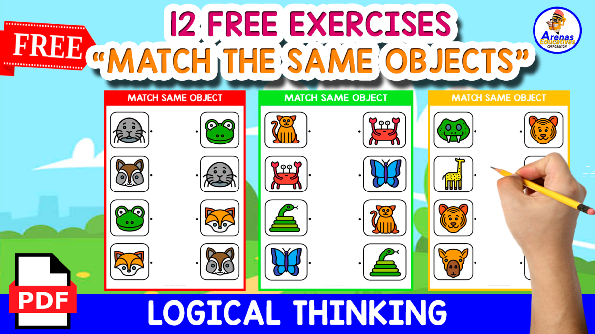 An educational teaching resource from EDITORIAL LAURA EDUCA entitled MATCH THE SAME OBJECT | USING ANIMALS ICONS downloadable at Teach Simple.
