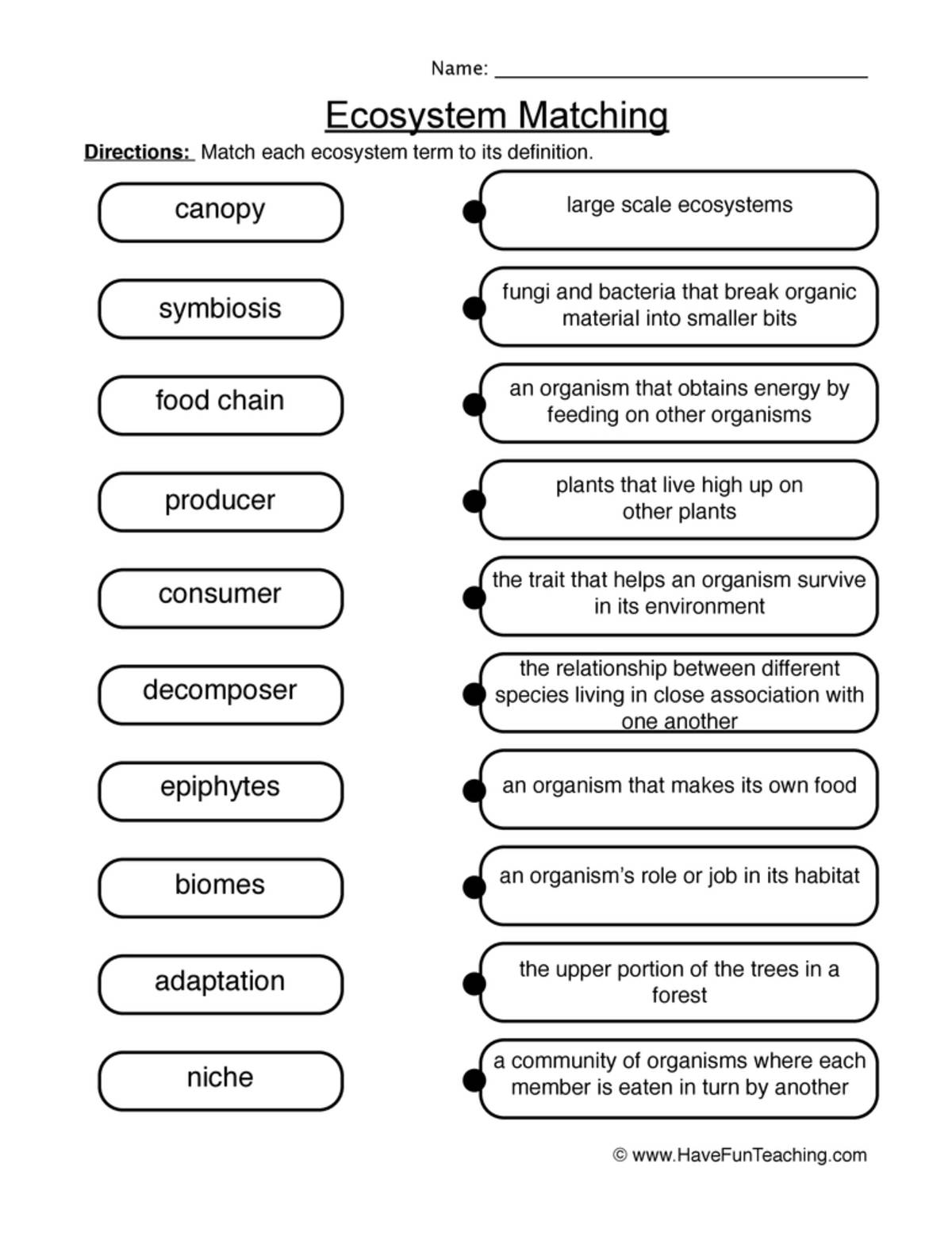 An educational teaching resource from Have Fun Teaching entitled Matching Ecosystems Worksheet downloadable at Teach Simple.