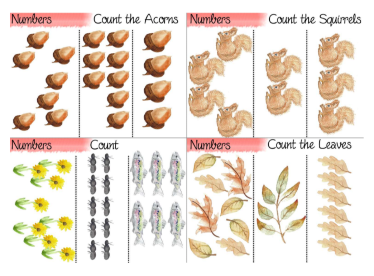 An educational teaching resource from Fiddleticks Education entitled Math Cards and Numbers Flashcards downloadable at Teach Simple.