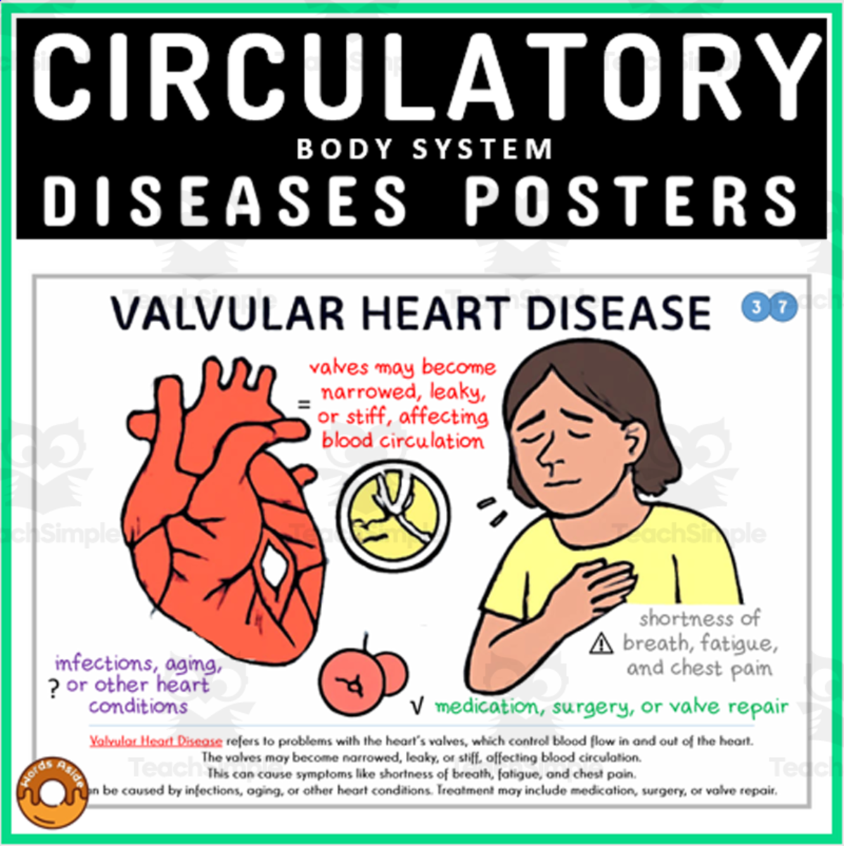 An educational teaching resource from WORDS ASIDE entitled Medical Terminology Posters Human Body Circulatory System Disorders downloadable at Teach Simple.