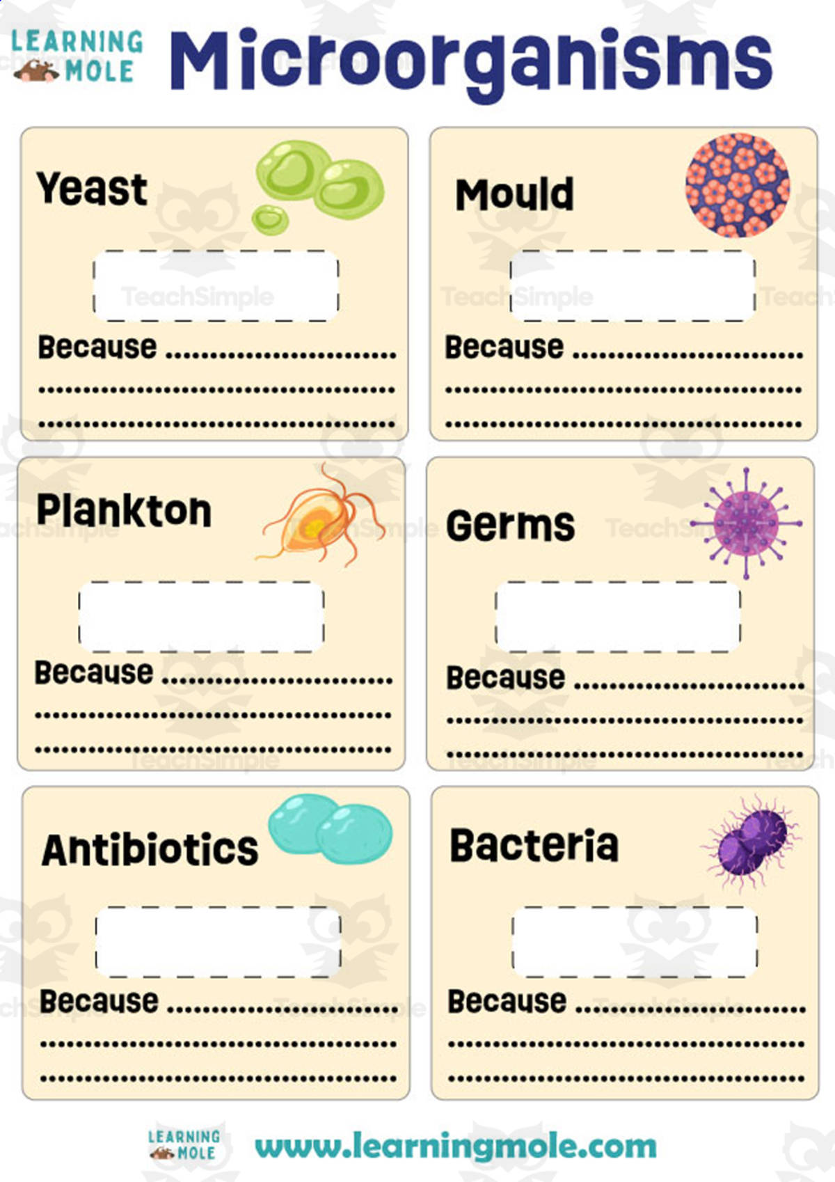 An educational teaching resource from Educational Voice entitled Microorganisms Activity downloadable at Teach Simple.