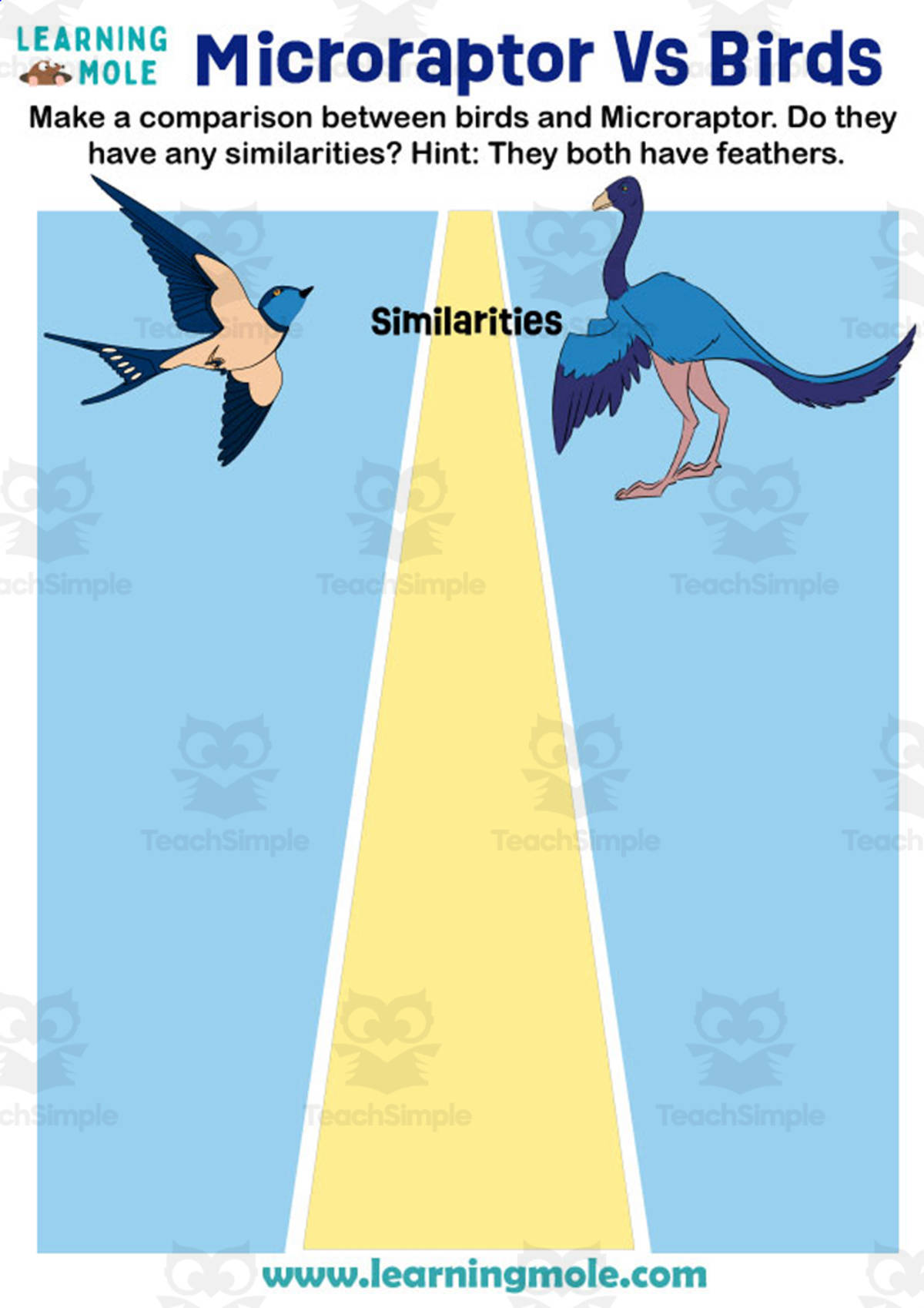 An educational teaching resource from Educational Voice entitled Microraptor Vs Birds Activity downloadable at Teach Simple.