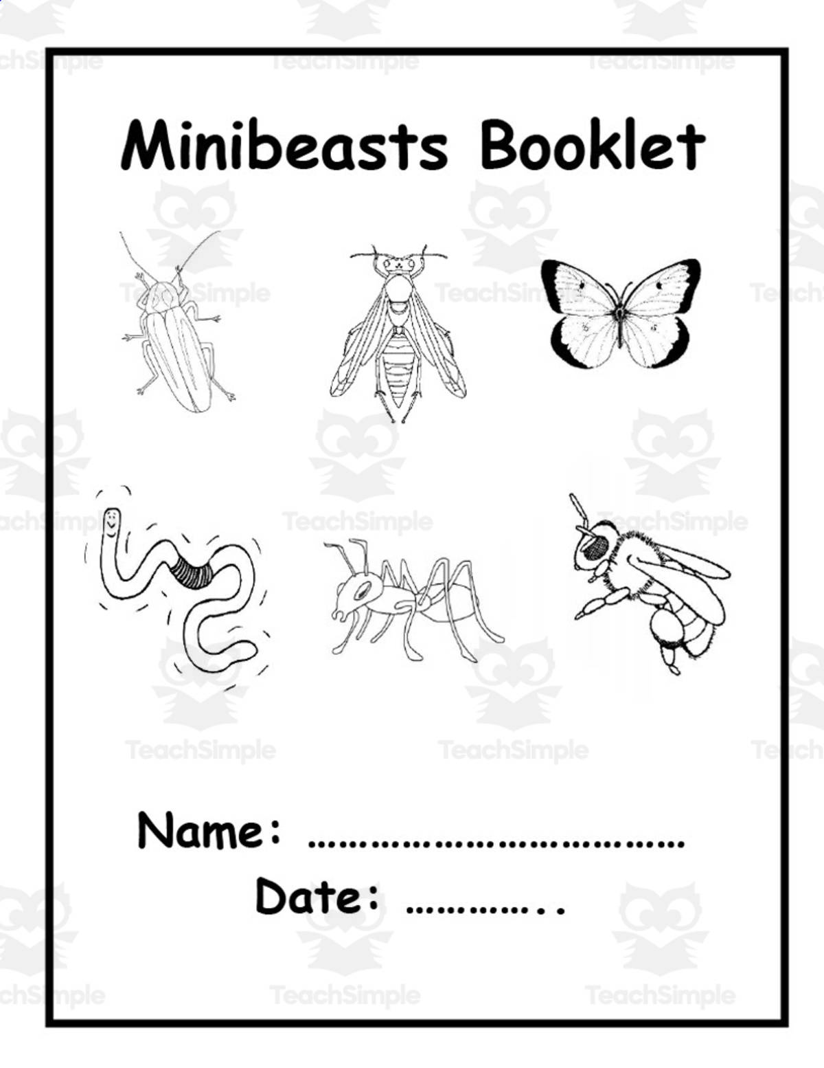 An educational teaching resource from Elementary Resources 4 U entitled Minibeasts Booklet downloadable at Teach Simple.