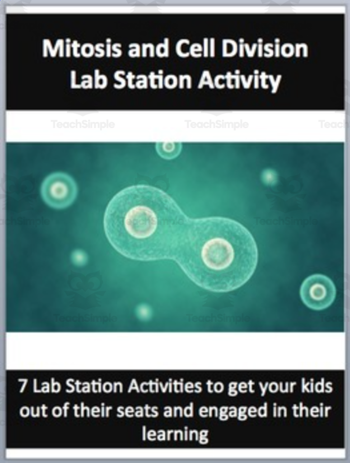 An educational teaching resource from Teach With Fergy entitled Mitosis and the Cell Cycle – Lab Station Activity downloadable at Teach Simple.