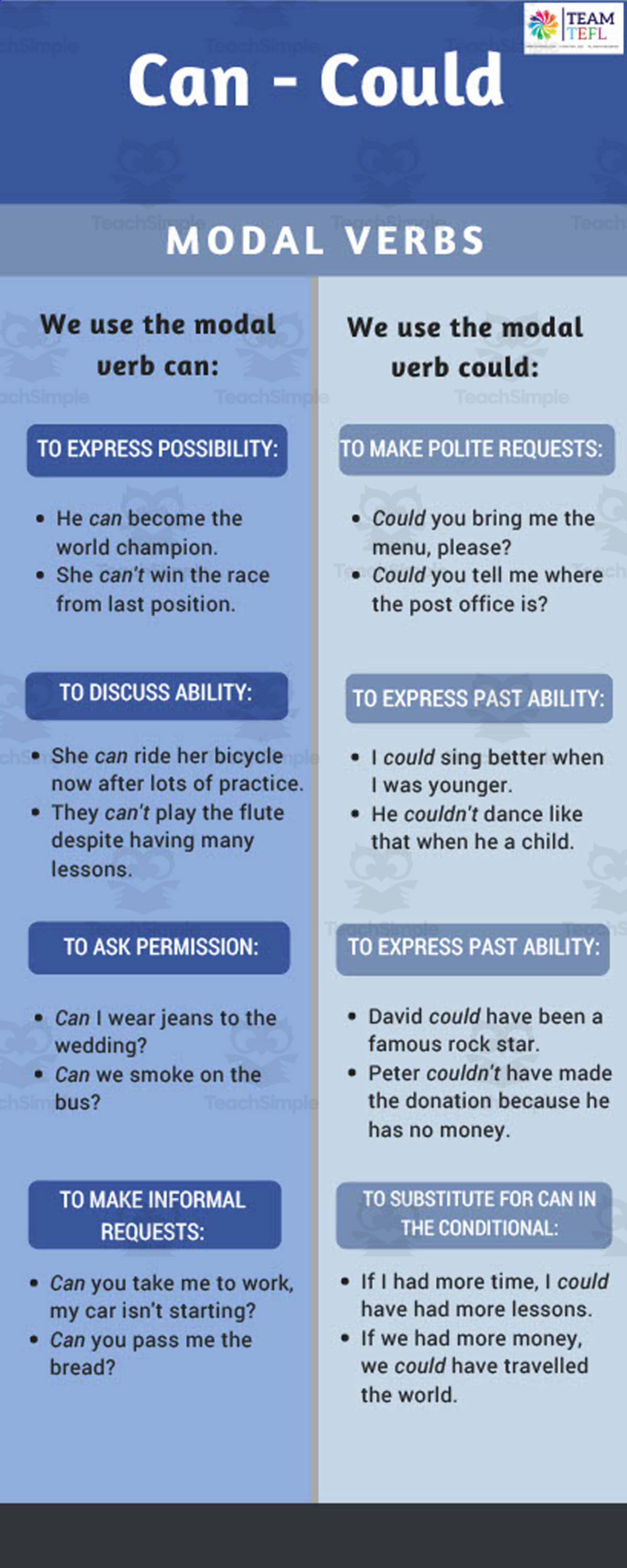 An educational teaching resource from TEAM TEFL entitled Modal Verbs: Can - Could | Beginner Lesson Plan downloadable at Teach Simple.