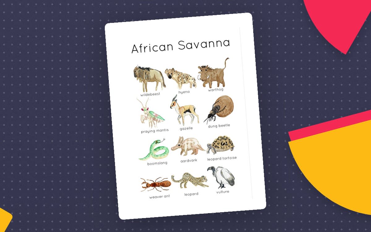An educational teaching resource from Fiddleticks Education entitled African Savanna Animals – Flashcards + Poster Pack downloadable at Teach Simple.