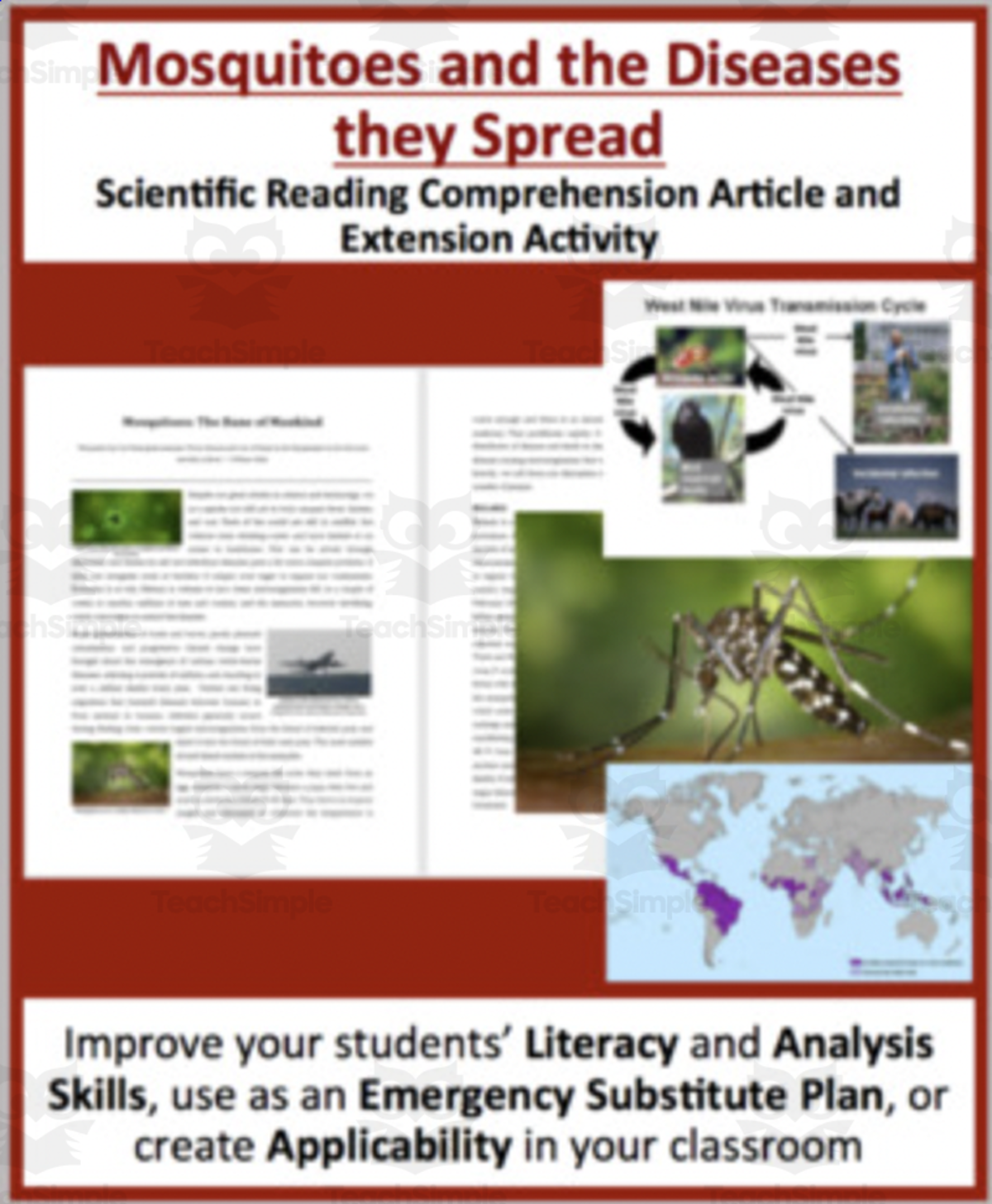 An educational teaching resource from Teach With Fergy entitled Mosquitoes Reading Comprehension Article downloadable at Teach Simple.