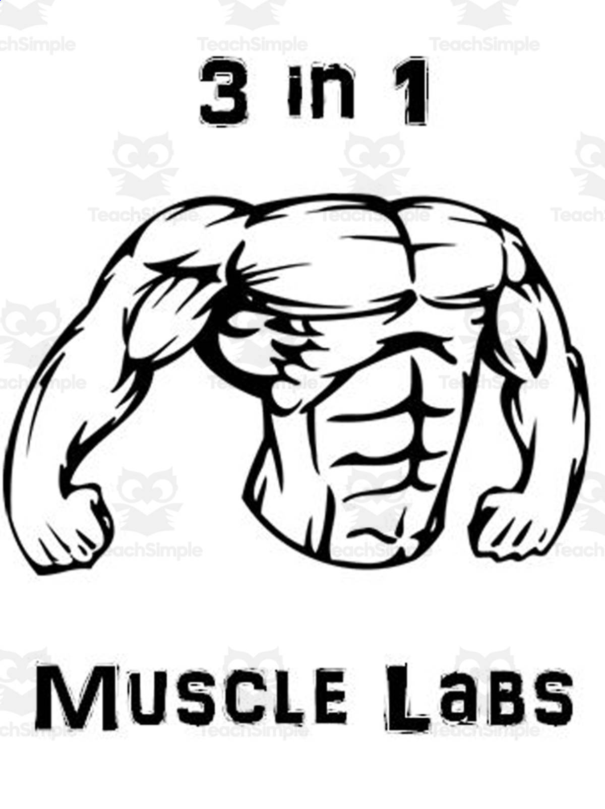 An educational teaching resource from The Teacher Team entitled Muscular System ~ Muscle Labs Package downloadable at Teach Simple.