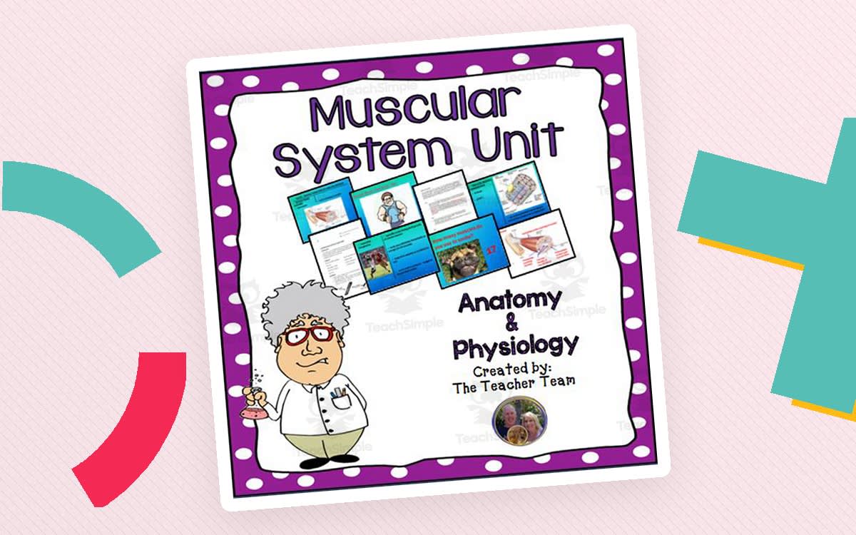 An educational teaching resource from The Teacher Team entitled Muscular System Unit downloadable at Teach Simple.