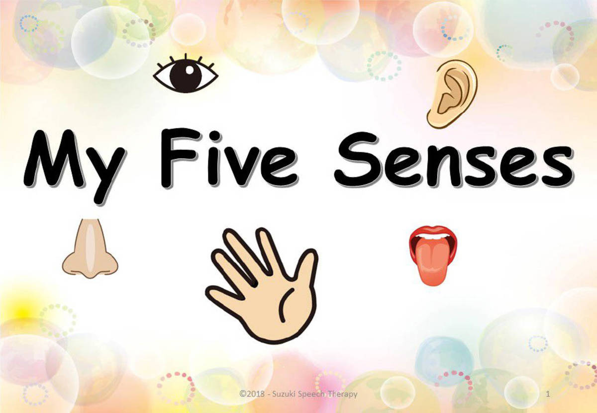An educational teaching resource from Suzuki Speech Therapy entitled My 5 Senses Worksheets downloadable at Teach Simple.