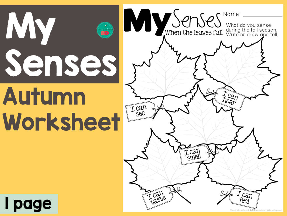 An educational teaching resource from Cherry Workshop entitled My Senses When the Leaves Fall downloadable at Teach Simple.