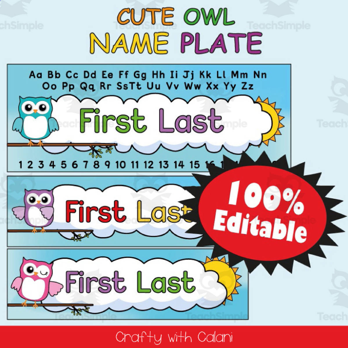 An educational teaching resource from Crafty with Calani entitled Name Plate Labels in Owl Theme - 100% Editable downloadable at Teach Simple.