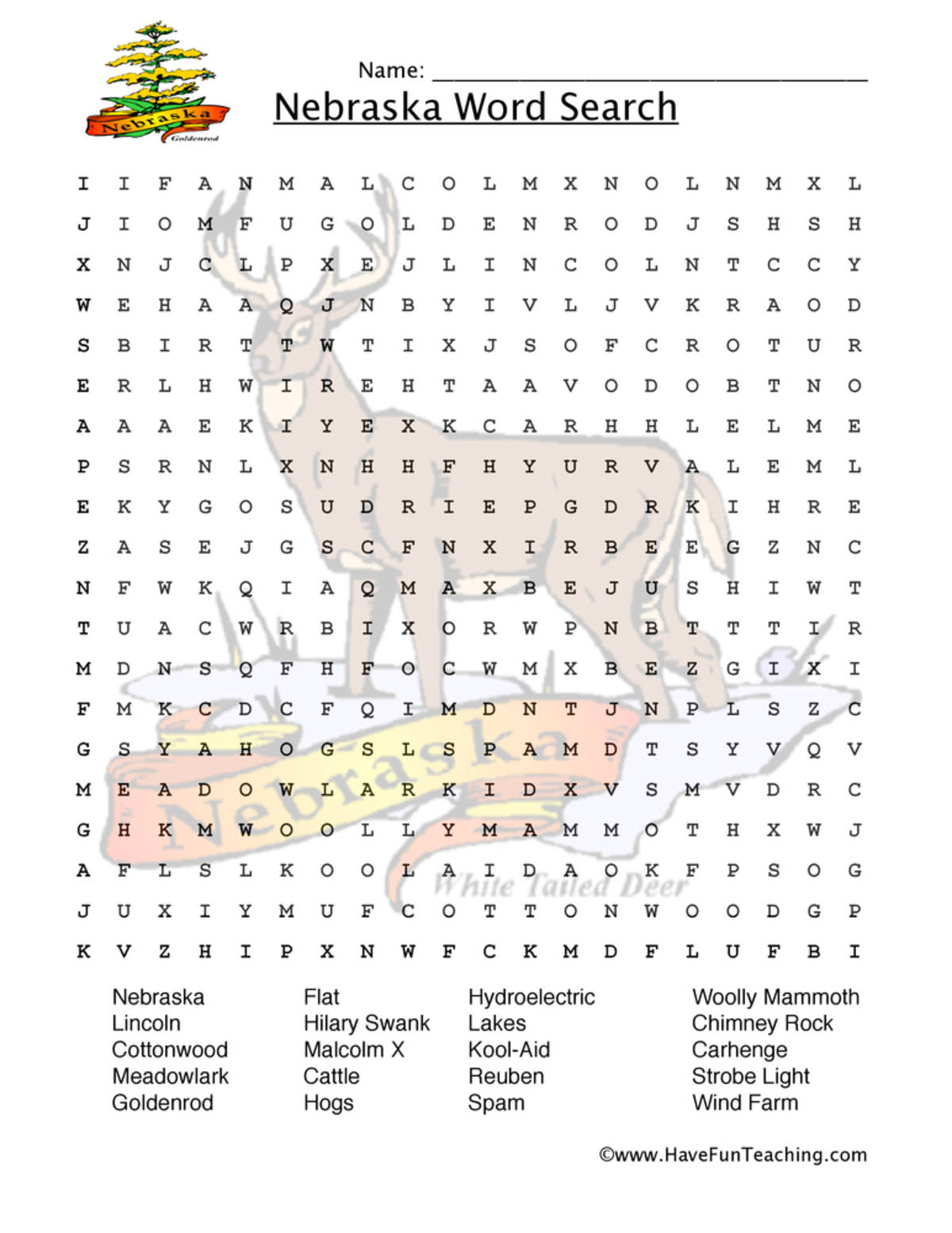 An educational teaching resource from Have Fun Teaching entitled Nebraska Word Search Worksheet downloadable at Teach Simple.