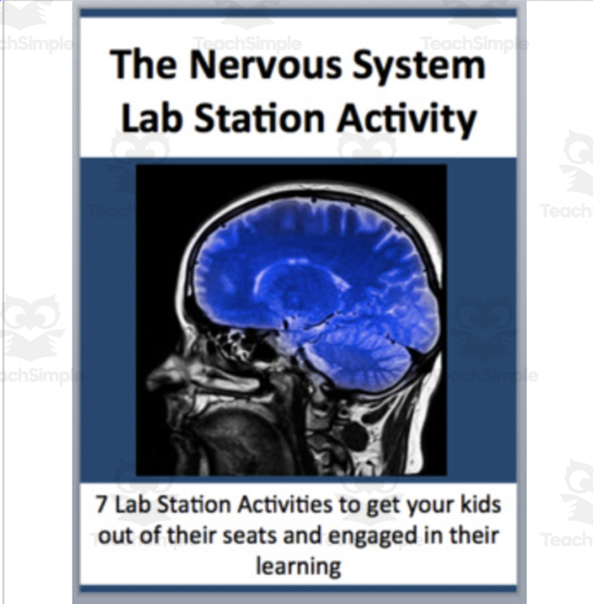 An educational teaching resource from Teach With Fergy entitled Nervous System – Lab Station Activity downloadable at Teach Simple.