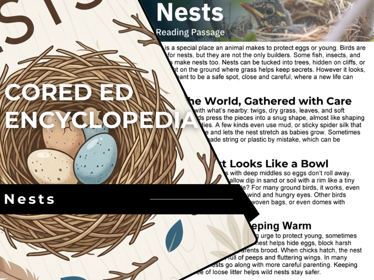 An educational teaching resource from Cored Education entitled Nests Reading Comprehension Passage - Cored Ed Encyclopedia downloadable at Teach Simple.