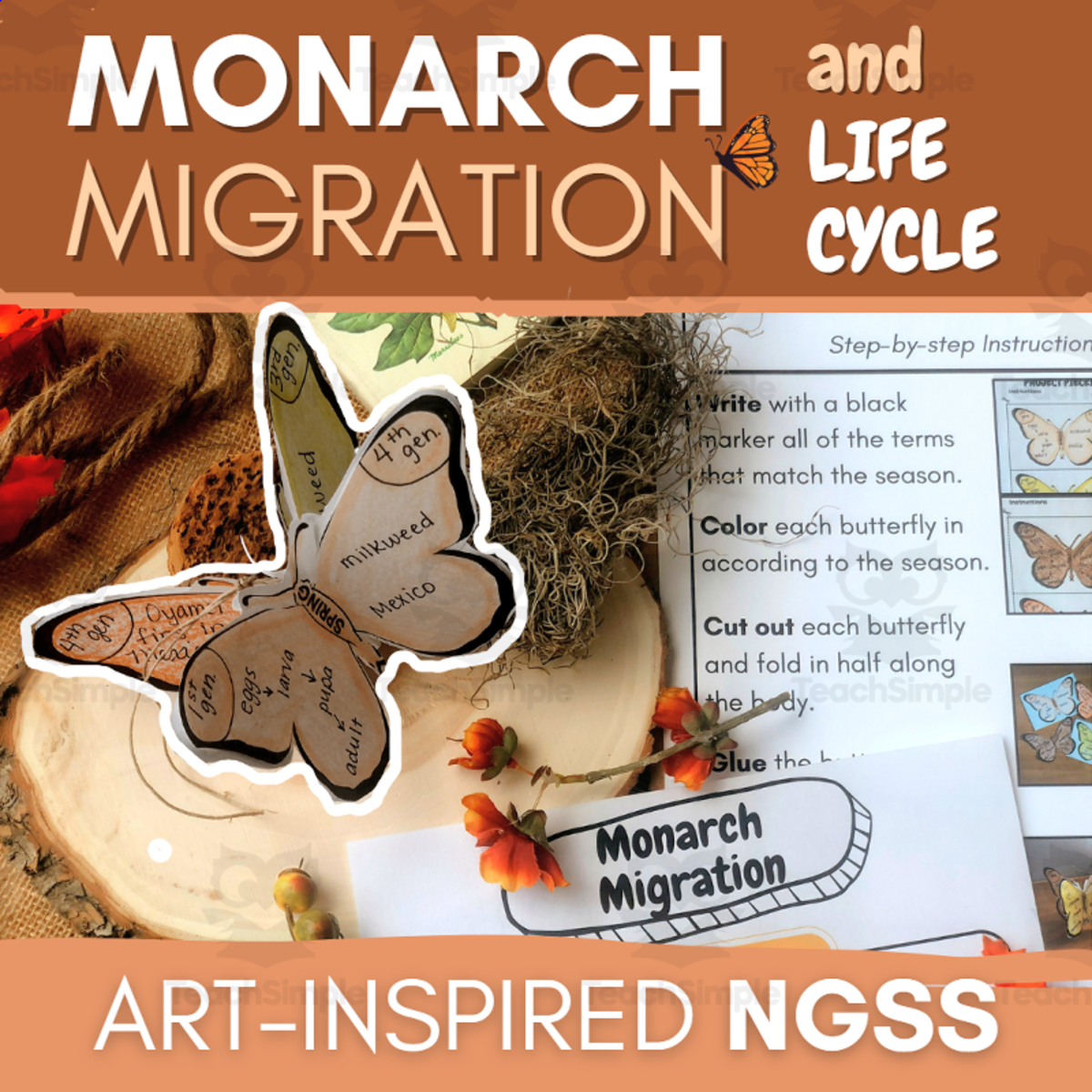 An educational teaching resource from ARTventurousanimals entitled NGSS Third Grade Life Cycle and Migration Project - Activities for 3-LS1-1 downloadable at Teach Simple.