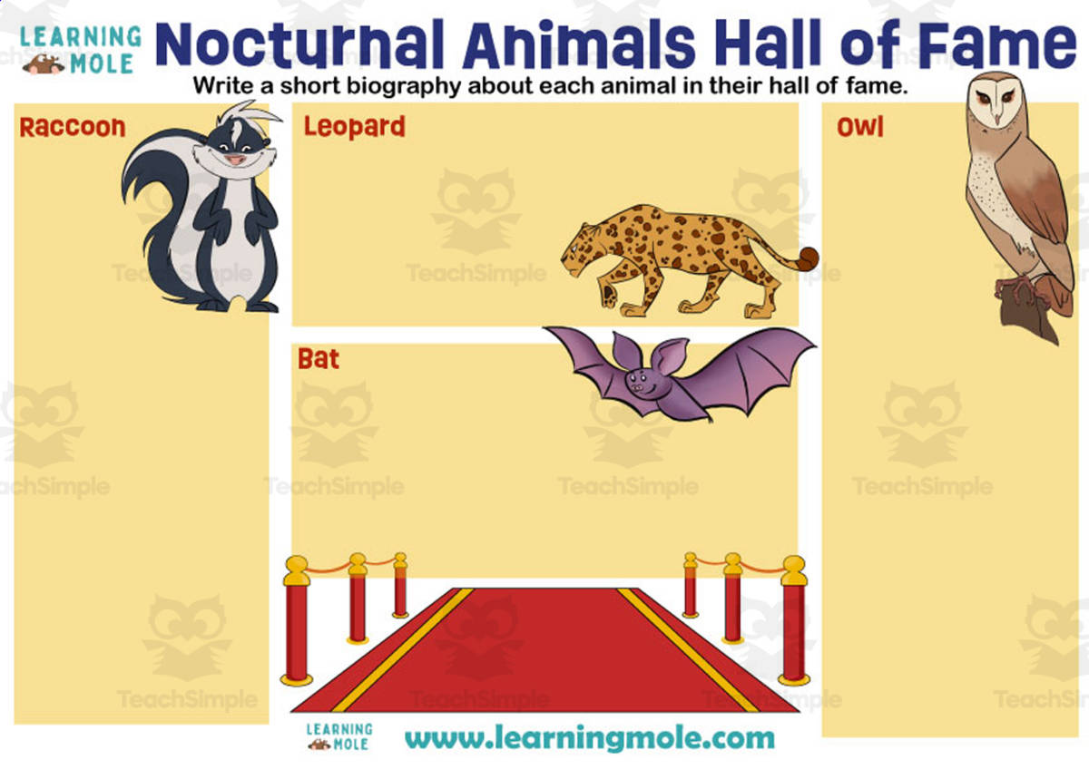 An educational teaching resource from Educational Voice entitled Nocturnal Animals Hall of Fame Activity downloadable at Teach Simple.