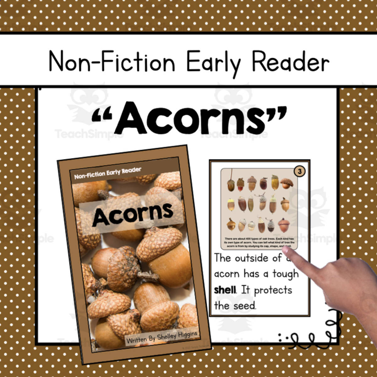 An educational teaching resource from Simply Schoolgirl entitled Non-Fiction Early Reader: Acorns downloadable at Teach Simple.