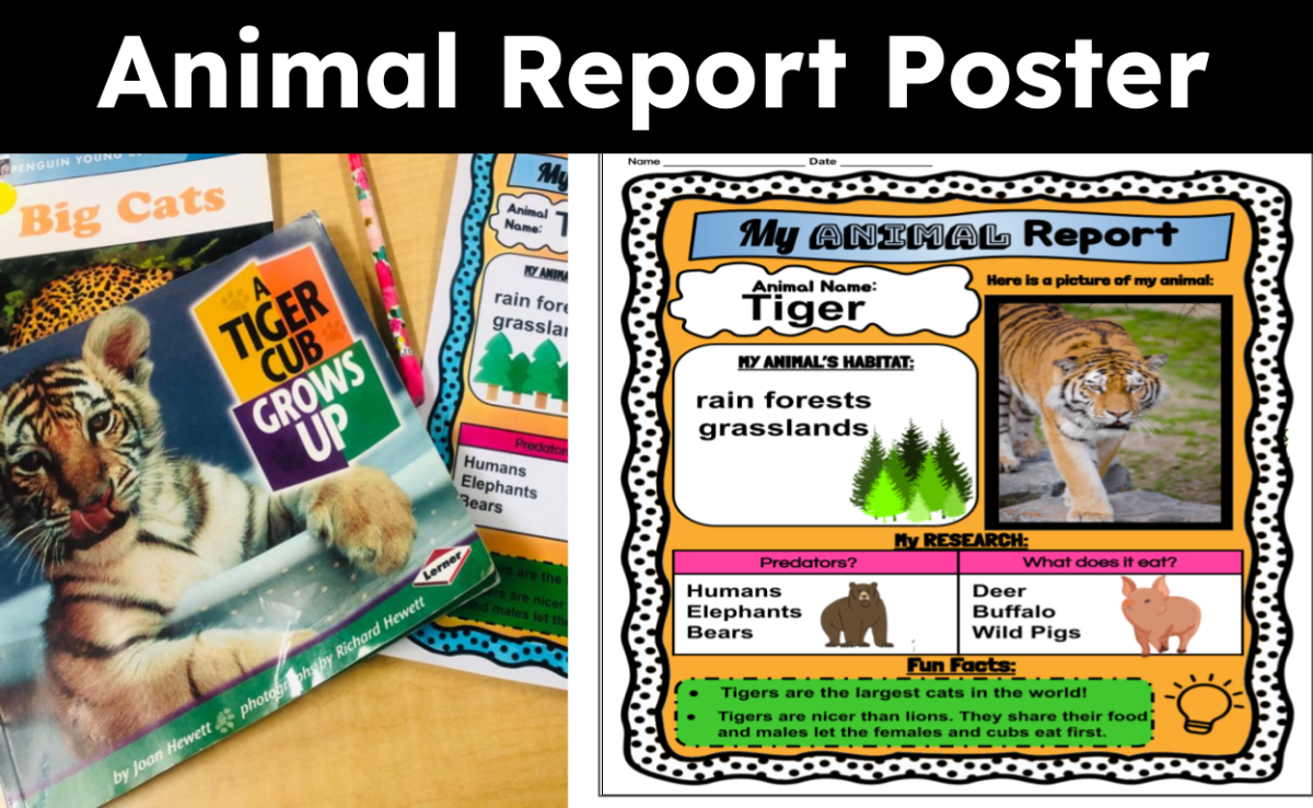 An educational teaching resource from CraftEdPrints entitled Animal Report Poster Template – Nonfiction Writing downloadable at Teach Simple.
