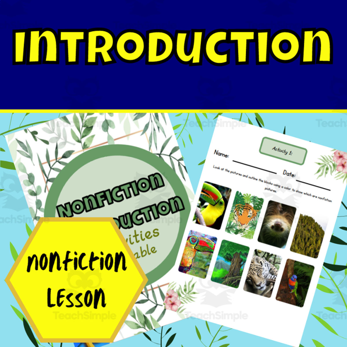 An educational teaching resource from Ezee 101 entitled Nonfiction introduction worksheets downloadable at Teach Simple.