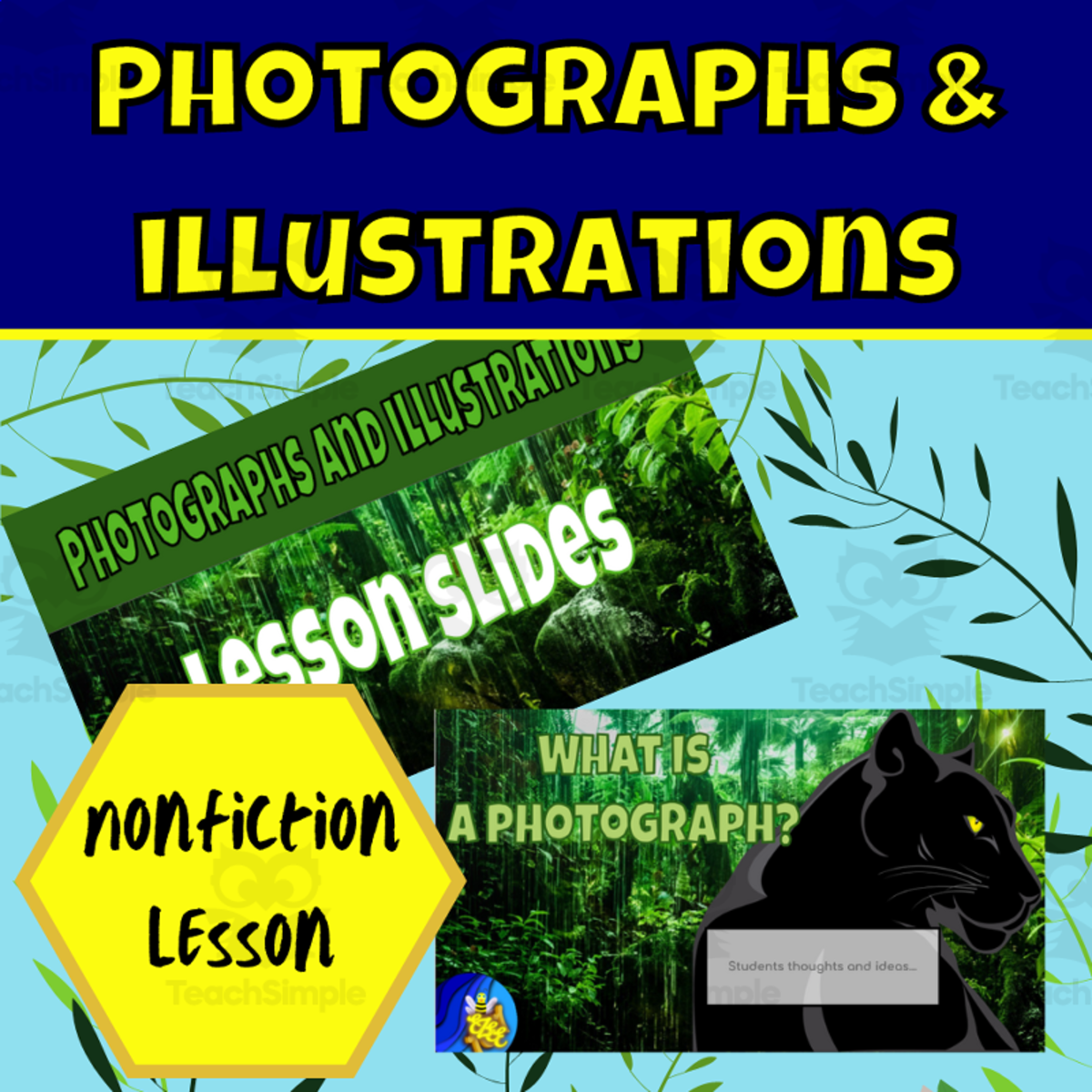 An educational teaching resource from Ezee 101 entitled Nonfiction photographs and illustration lesson rainforest downloadable at Teach Simple.