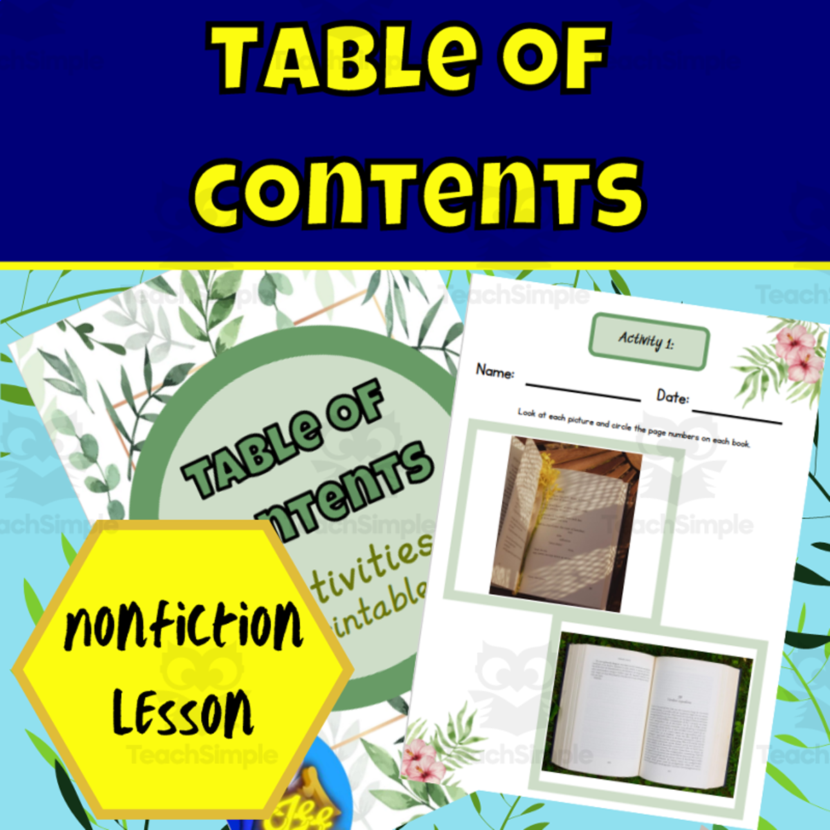 An educational teaching resource from Ezee 101 entitled Nonfiction table of contents lesson downloadable at Teach Simple.