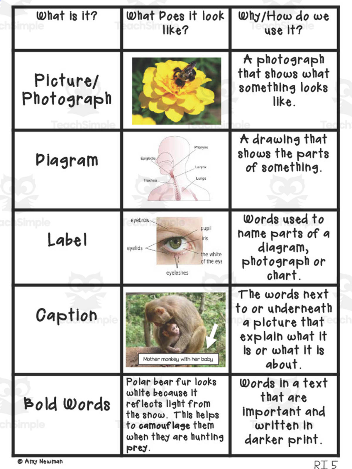 An educational teaching resource from First in Line entitled Nonfiction Text Features – Anchor Chart Set downloadable at Teach Simple.