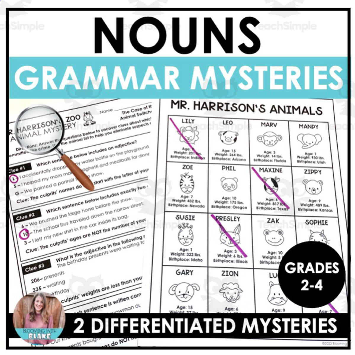 An educational teaching resource from Blooming with Blake entitled Nouns Animal Mysteries Activity downloadable at Teach Simple.