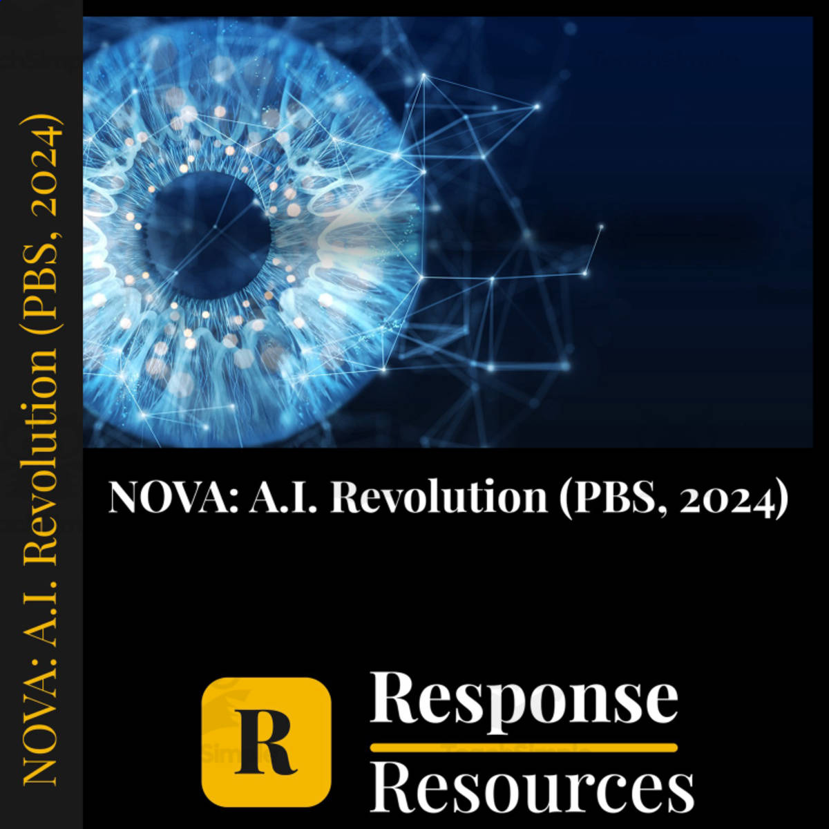 NOVA A.I. Revolution: Artificial Intelligence Worksheet & Key preview