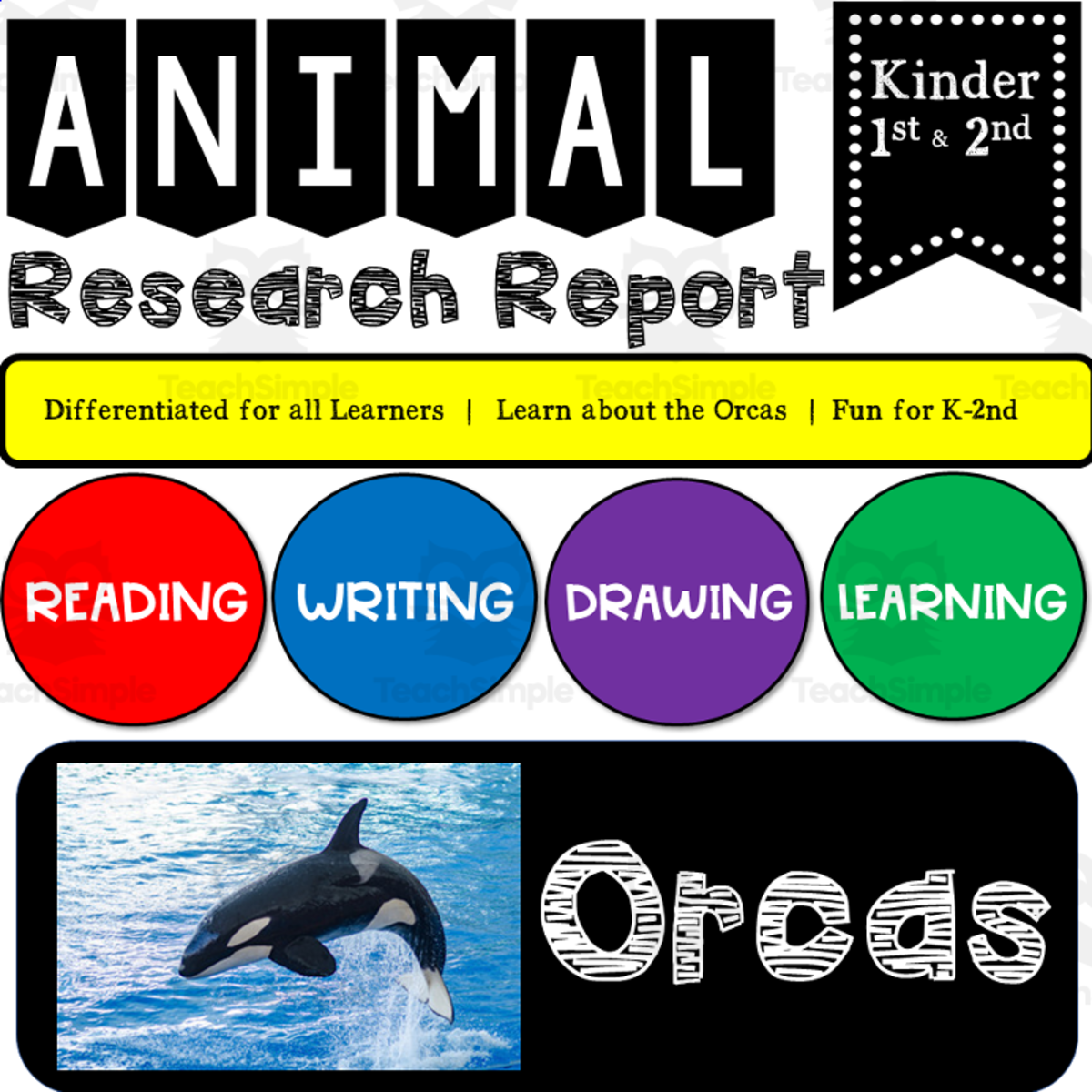 An educational teaching resource from K-5 Treasures entitled Ocean Animal Research Writing Project on ORCAS for K-2nd Grade downloadable at Teach Simple.