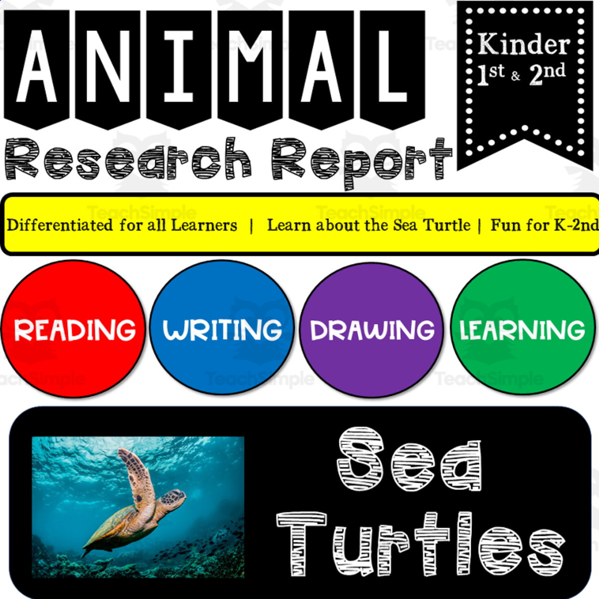 An educational teaching resource from K-5 Treasures entitled Ocean Animal Research Writing Project on SEA TURTLES for K-2nd Grade downloadable at Teach Simple.